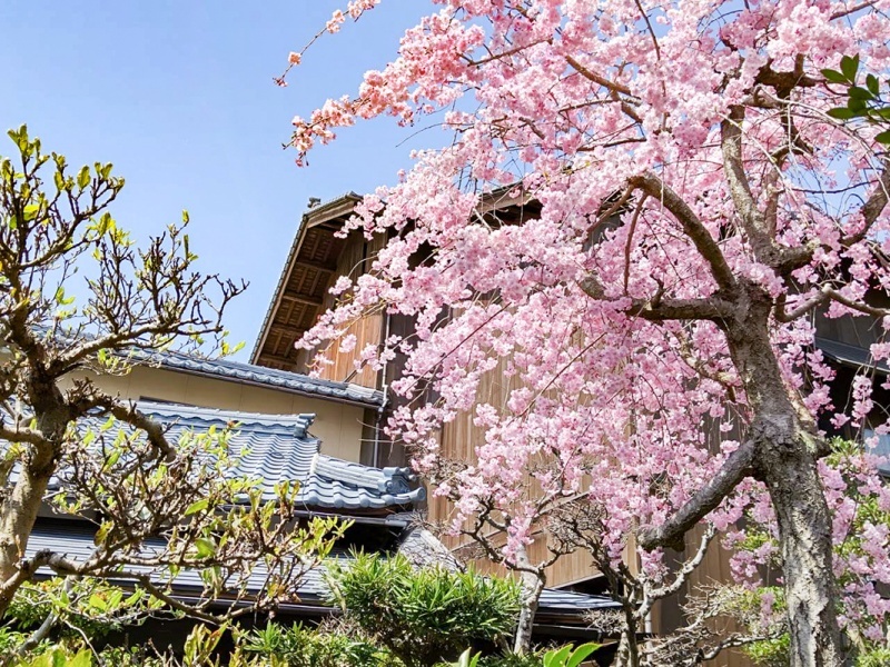 四季折々の庭園をお楽しみいただけます。