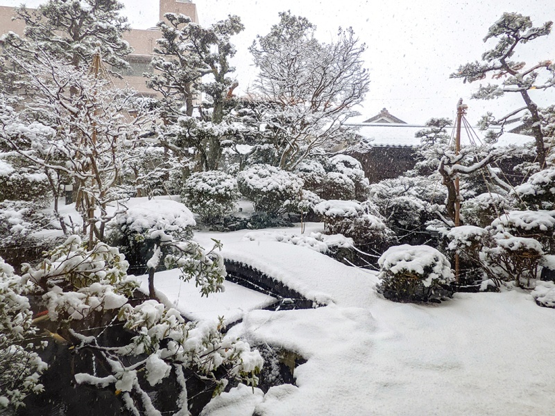 冬の庭園。
四季折々の庭園をお楽しみいただけます。